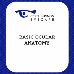 Basic Ocular Anatomy Booklet